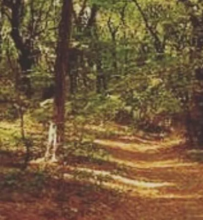 Keti 1 베오그라드