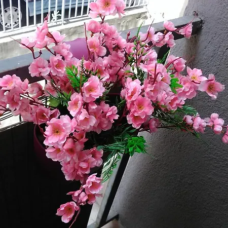 Keti 1 * 베오그라드